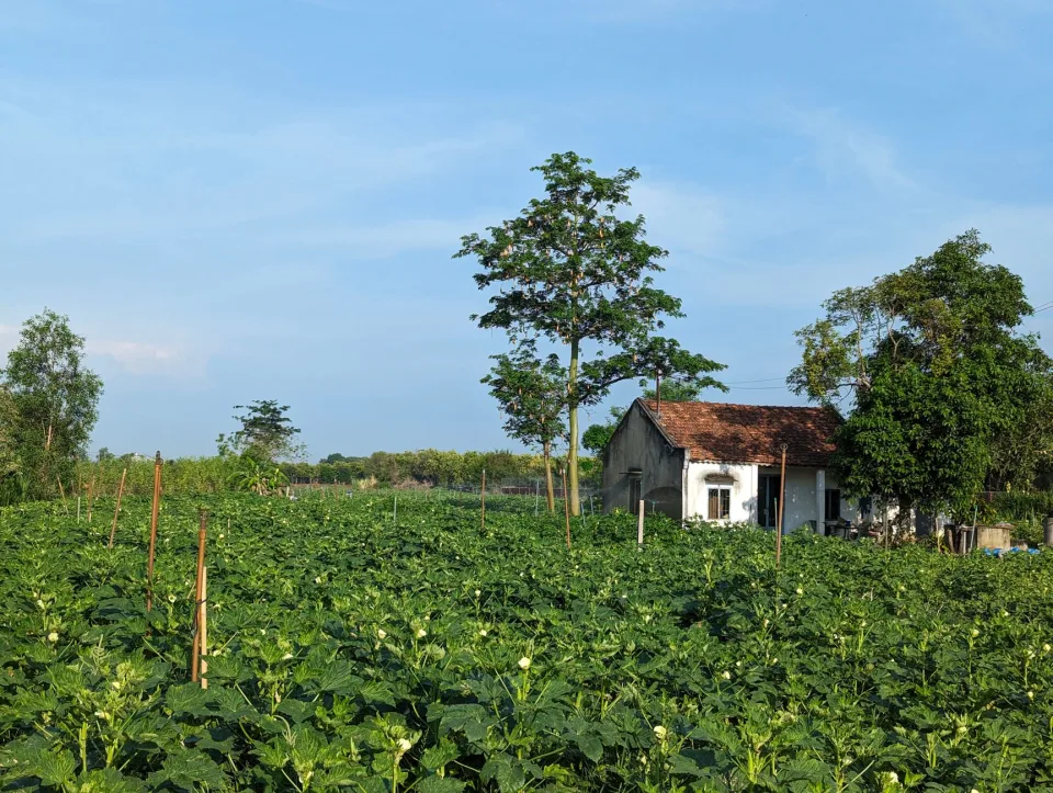 Hàng khách lấy nhiều